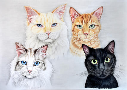 Cats in coloured pencil. Made by combining separate photographs. A3 £400